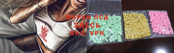 PSILOCYBIN Алзамай