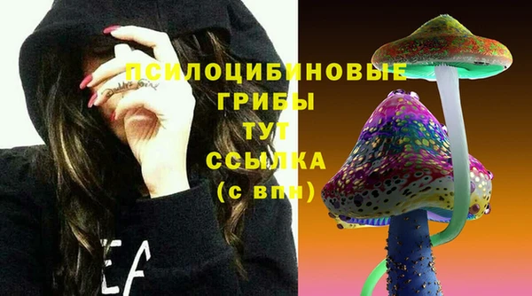 PSILOCYBIN Алзамай