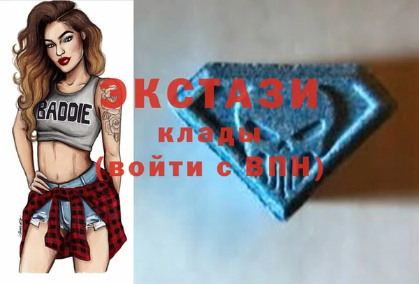 PSILOCYBIN Алзамай