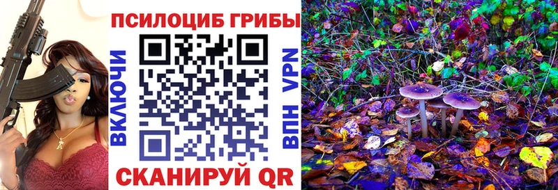 Псилоцибиновые грибы ЛСД купить ОМГ ОМГ tor Себеж